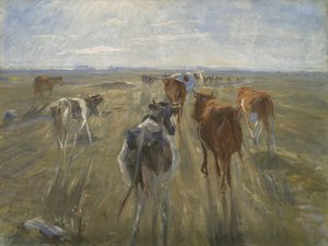 الظلال الطويلة. الماشية في جزيرة سالتولم ، ج. 1890 بواسطة تيودور فيليبسن