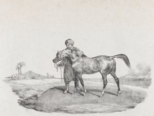 حصان عربي 1821 بواسطة ثيودور جيريكولت