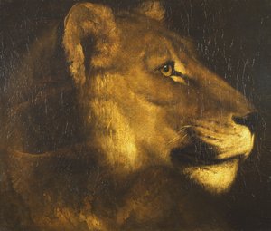 رأس لبؤة