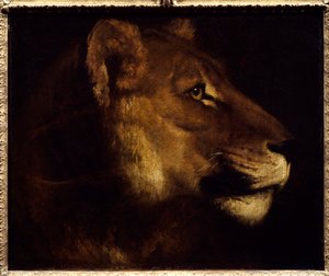 رسم رأس لبؤة بقلم ثيودور جيريكولت (1791-1824) شمس القرن التاسع عشر. 0،55x0،65 م باريس ، متحف اللوفر. - رأس لبؤة. لوحة لثيودور جيريكولت (1791-1824) بواسطة ثيودور جيريكولت