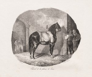 الدراسات الحجرية للخيول: Pl. 7 ، حصان من سهل كاين ، 1822. بواسطة ثيودور جيريكولت
