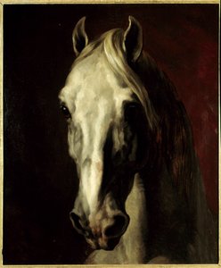 رأس الحصان الأبيض. لوحة لثيودور جيريكولت (1791-1824) بواسطة ثيودور جيريكولت