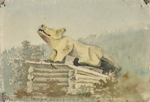 مقبرة هندية. الذئب الطوطم فوق مقبرة رجل الطب ، رانجل ، كاليفورنيا. 1880-1914.