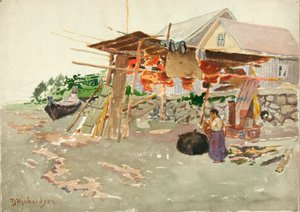 تجفيف السلمون ، القرية الهندية ، ألاسكا ، كاليفورنيا. 1880-1914.