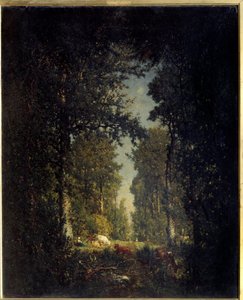 شارع ، غابة جزيرة آدم. لوحة لثيودور روسو (1812-1867)