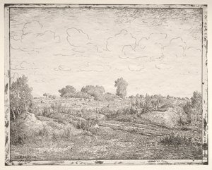 سهل النبات في بياو بواسطة Theodore Rousseau