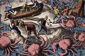 الملاحون الأوروبيون يقاتلون سرطان البحر الكبير. نقش من "Petities voyages aux Indes Orientales" لثيودور دي بري بواسطة تيودور دي بري
