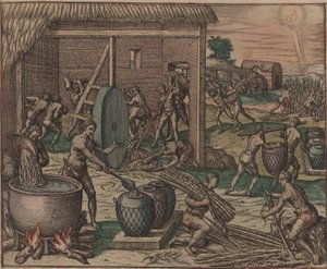 العبيد يعالجون قصب السكر ويصنعون السكر ، 1595. بواسطة تيودور دي بري
