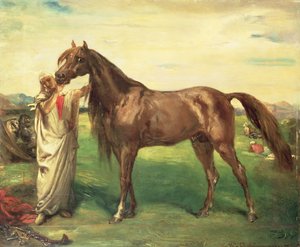 حاجي ، الفحل العربي ، 1853 بواسطة تيودور شاسريو