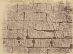 منظر عن قرب للنقوش والمنحوتات الهيروغليفية (قائمة الدول المهزومة) ، الكرنك بواسطة Théodule Devéria
