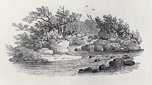 انحناء في النهر من "تاريخ الطيور البريطانية ، المجلد 2: طيور الماء" ، 1804