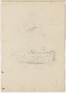 نبات في الكولوسيوم؛ قطعة معمارية بواسطة Thomas Cole