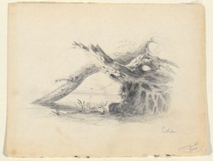 رسم لشجرتين ميتتين بواسطة توماس كول