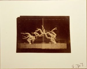 صور عجلة ماري لنموذج مجهول ، 1884. بواسطة توماس إيكنز