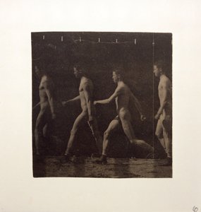 صور عجلة ماري لنموذج مجهول ، ج. 1884. بواسطة توماس إيكنز