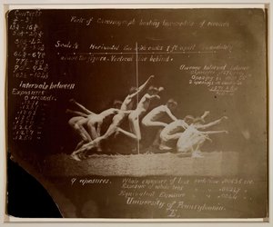 صور Marey Wheel لنموذج مجهول ، مع تدوينات Eadweard Muybridge ، 1884. بواسطة توماس إيكنز