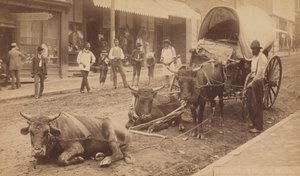 رقم 2009 ، "أخذ قسط من الراحة" ، 1890-1895. بواسطة توماس إتش ليندسي