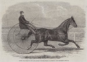 جاكي ، الفائز في الراحل Aintree Trotting Stakes في ليفربول بواسطة توماس هارينجتون ويلسون