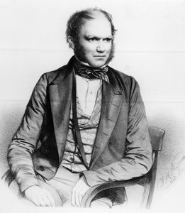 تشارلز داروين ، 1849