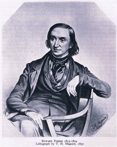 إدوارد فوربس (1815-1854) ، الطبيعة في بريطانيا نشرها كولينز ، 1946