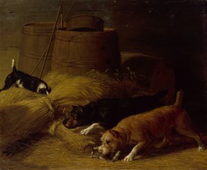 الفئران بين شعير الشعير ، 1851.