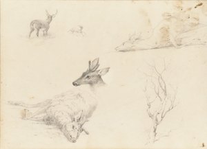 كراسة رسم لموضوعات المناظر الطبيعية والحيوانية ، 1860-64.