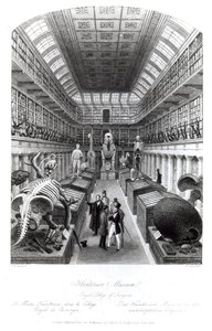 متحف Hunterian ، رسم توضيحي لـ "لندن الداخلية" ، منقوش من قبل إدوارد رادكليف ، 1840 بواسطة توماس هوسمر شيبرد