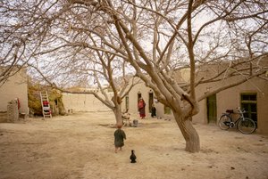  بواسطة توماس جي أبركرومبي