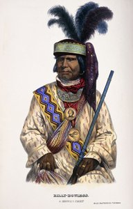 بيلي بوولجز ، رئيس سيمينول ، 1899 بواسطة توماس لورين ماكيني