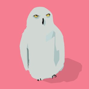 بومة