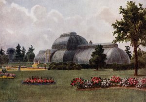 Kew Gardens: The Palm House (colour litho) بواسطة توماس ماور مارتن