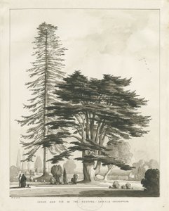 Haughton Rectory: يغسل الرسم البني الداكن بواسطة توماس بيبلو وود