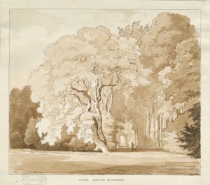 إنجستر - دراسة للأشجار: رسم بني داكن ، بدون تاريخ [؟ 1838] (رسم) بواسطة توماس بيبلو وود