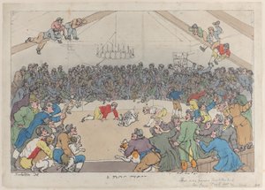 قتال الكلاب ، 1 مايو 1811 ، 1 مايو 1811. بواسطة توماس رولاندسون