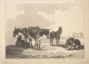 مجموعة من خمسة حمير ، ثلاثة واقفين ، اثنان كذبان ، 1783-87. بواسطة توماس رولاندسون