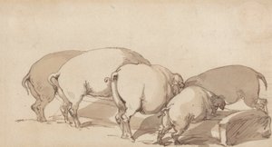 خنازير في حوض ، حوالي عام 1790 (جرافيت بقلم حبر وحبر وغسل بني على ورق) بواسطة توماس رولاندسون