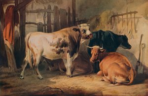ثور وثلاث بقرات في اسطبل ، c1856 بواسطة توماس سيدني كوبر