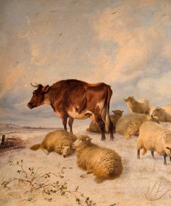 الأبقار والأغنام في Snowscape ، 1864
