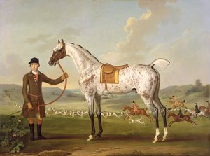 Scipio ، صياد العقيد روش المرقط ، c.1750 بواسطة توماس سبنسر