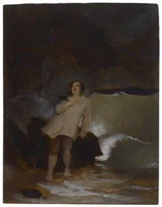 حطام سفينة روبنسون كروزو ، 1856