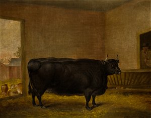جائزة الثور: بقرة فات كيري ، حوالي 1819 (زيت على قماش)