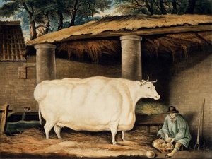 عصفور قصير القرن ، نقشه ويليام وارد ، دارتينجتون ، 1811 (نقش الألوان)