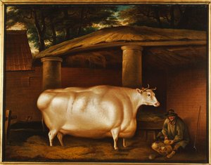 The White Heifer الذي سافر ، مع تقطيع رجل لفتة في ساحة مستقرة ، 1811 بواسطة توماس ويفر