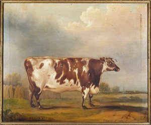Wildair ، عجل يبلغ من العمر ثماني سنوات في المناظر الطبيعية النهرية ، 1827 بواسطة توماس ويفر
