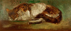 Th. A. Steinlen ، قطة نائمة بواسطة ثيوفيل الكسندر شتاينلين