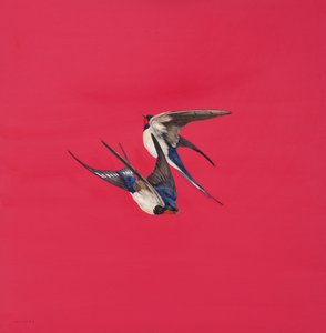 دوامة حمراء ، ألوان مائية وجواش على لوح ألوان مائية ، 50.8 × 50.8 سم