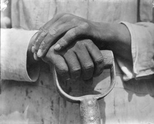 يد عامل بناء ، المكسيك ، 1926 بواسطة تينا مودوتي
