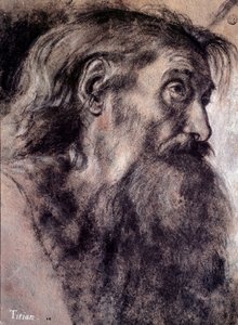 رأس الرجل العجوز رسم تيزيانو فيسيليو المسمى تيتيان (1485-1576) القرن السادس عشر ، باريس ، متحف اللوفر بواسطة تيتيان (1488-1576)
