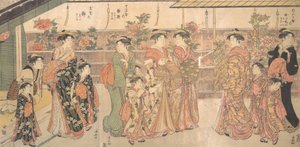 عرض الفاوانيا ، كاليفورنيا. 1790. بواسطة توري كيوناجا