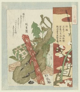جاباي البرقوق جاباي مسلسل لجمعية الشاعر الهنازونو (عنوان المسلسل) Hanazono bantsuzuki (عنوان المسلسل على الكائن) بواسطة توتو هوكي